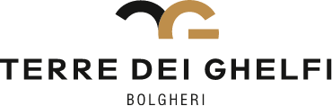 Logo-tdg